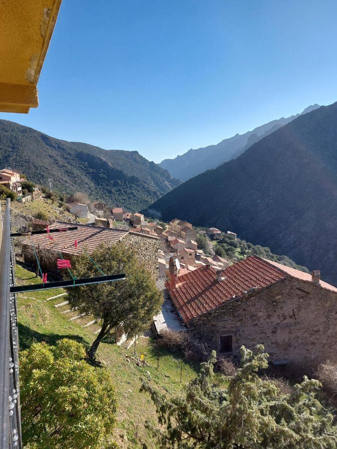 Residence E Cime Asco Locations De Studios Meubles Zewnętrze zdjęcie