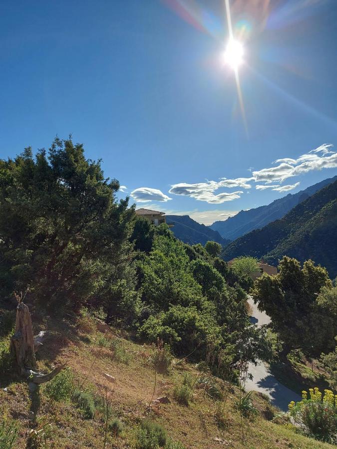 Residence E Cime Asco Locations De Studios Meubles Zewnętrze zdjęcie