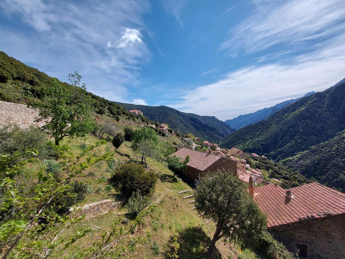 Residence E Cime Asco Locations De Studios Meubles Zewnętrze zdjęcie