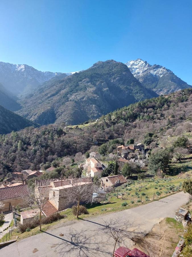 Residence E Cime Asco Locations De Studios Meubles Zewnętrze zdjęcie
