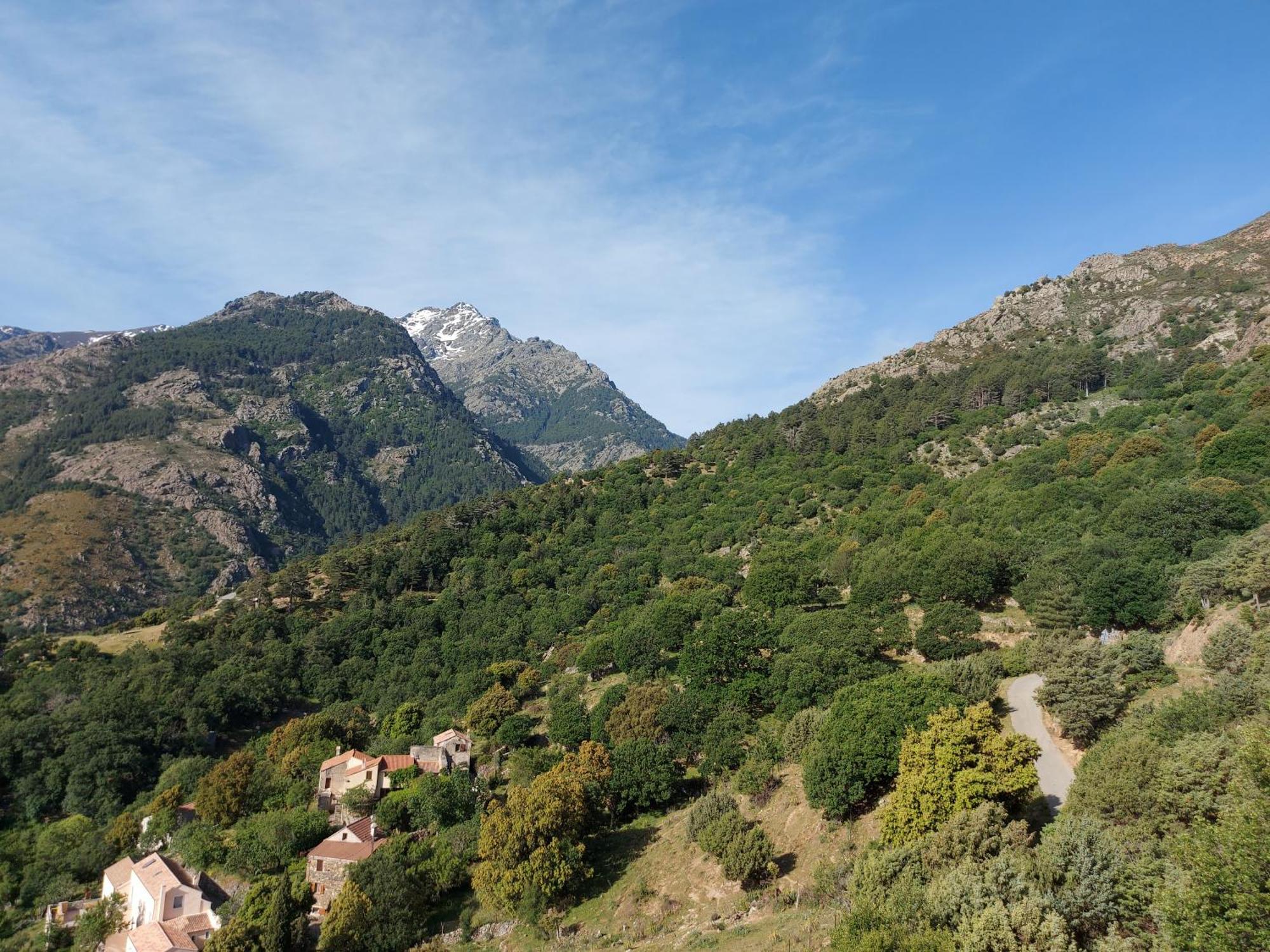 Residence E Cime Asco Locations De Studios Meubles Zewnętrze zdjęcie
